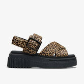 Evamar Wish Leopard Print | Clarks Sale