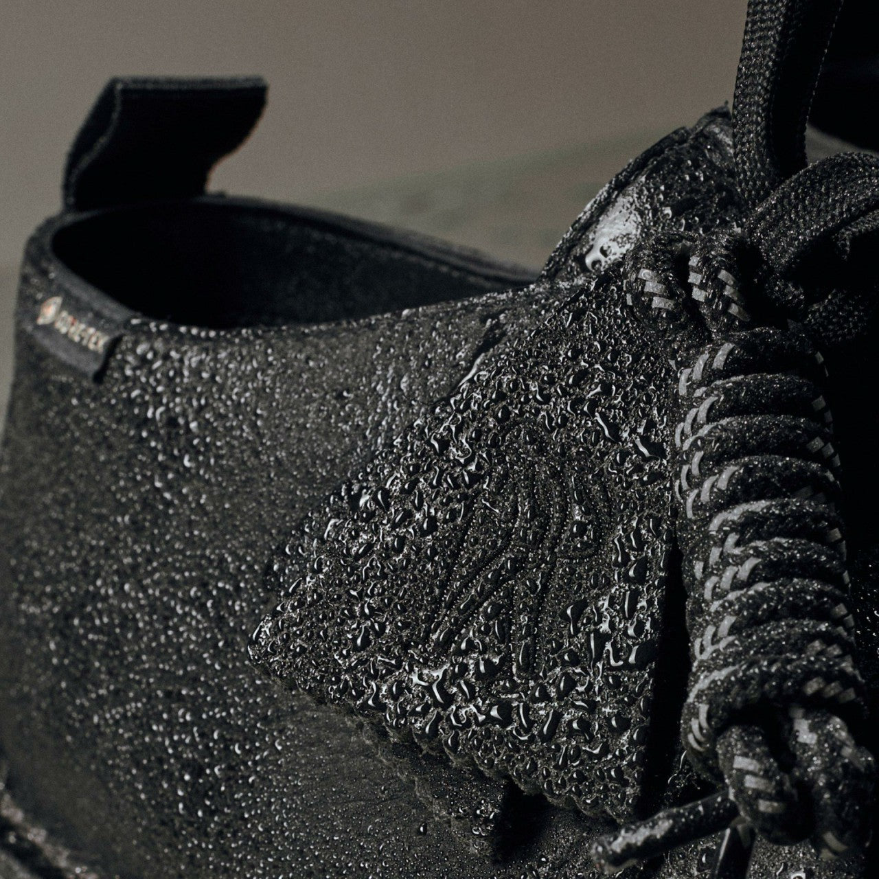 Desert Trek GORE-TEX Black Leather | Clarks For Sale
