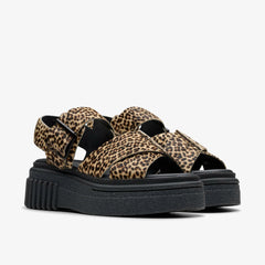 Evamar Wish Leopard Print | Clarks Sale
